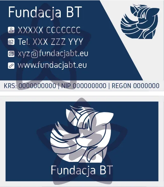 Wizytówka Fundacja BT visual